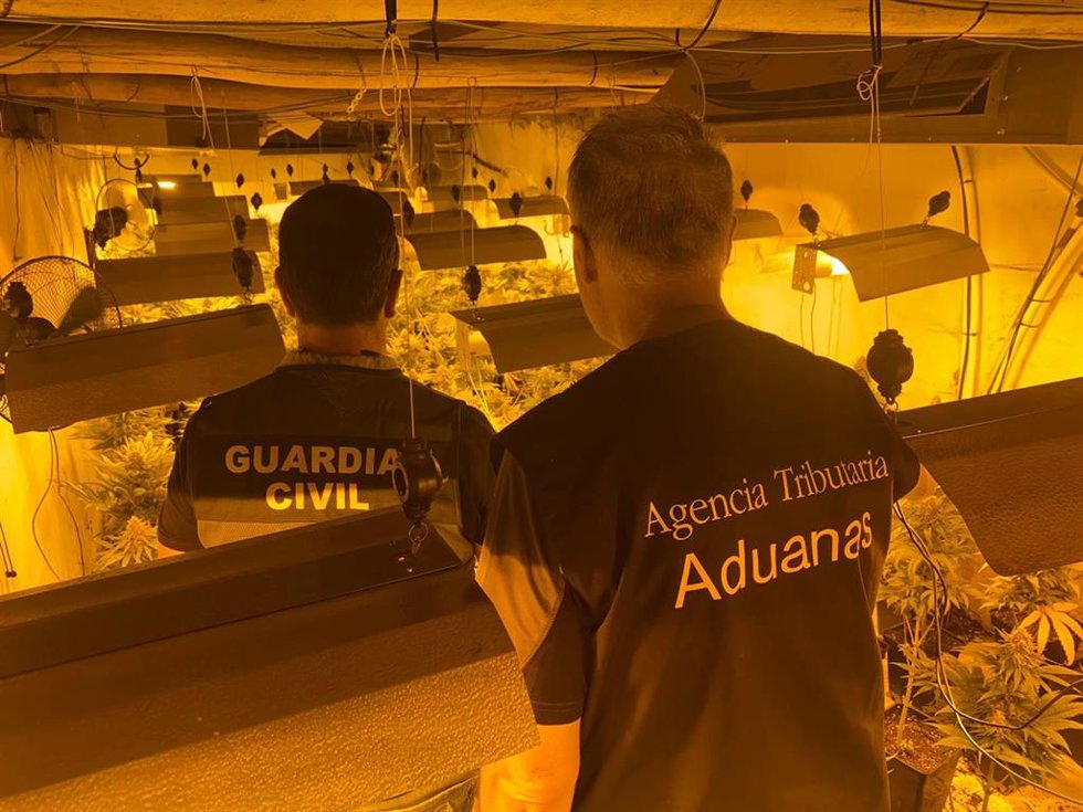 Centro de producción de marihuana desarticulado en Padul