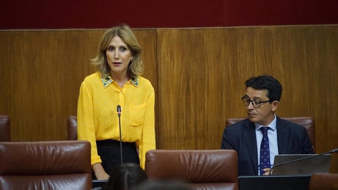 La parlamentaria andaluza del Partido Popular de Almería en una comparecencia.