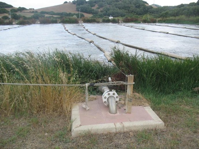 El Govern inicia la contratación de las obras de la depuradora de Es Mercadal