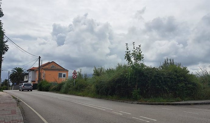 Una finca en Camargo llena de maleza