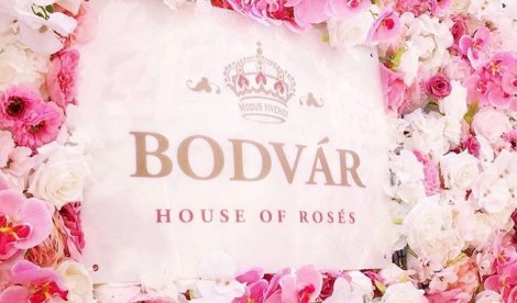 Comunicados Internacional