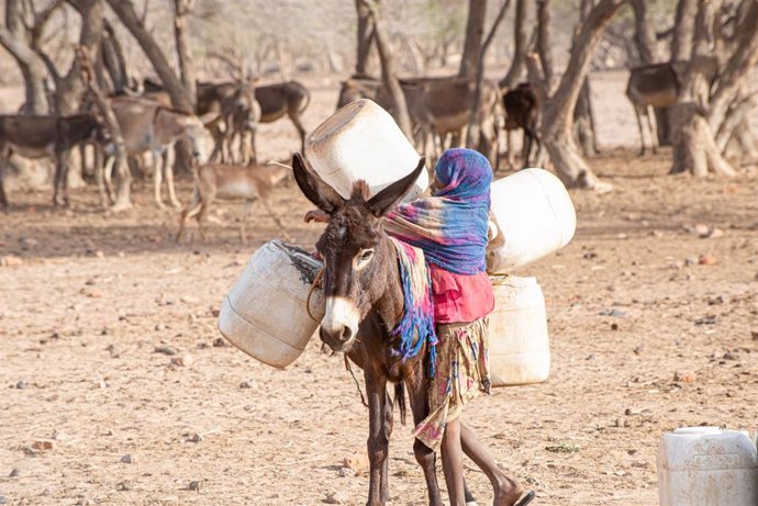 Una joven acude a recoger agua a un punto de Al Serif, en Darfur