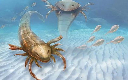 Los escorpiones marinos se hicieron gigantes al menos nueve veces