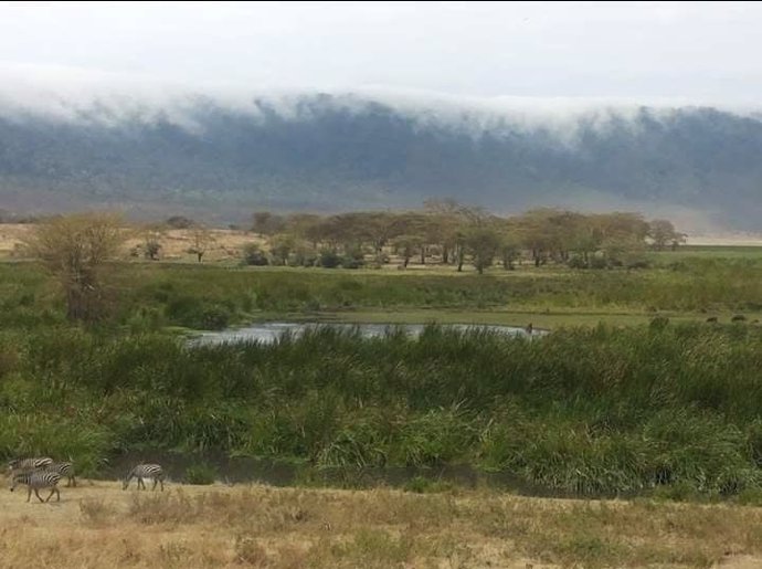 Ngorongoro (Tanzania)