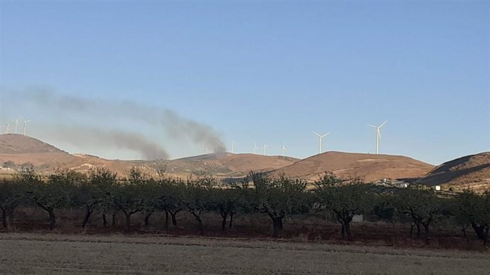 Vista del incendio forestal declarado en el término de Padul