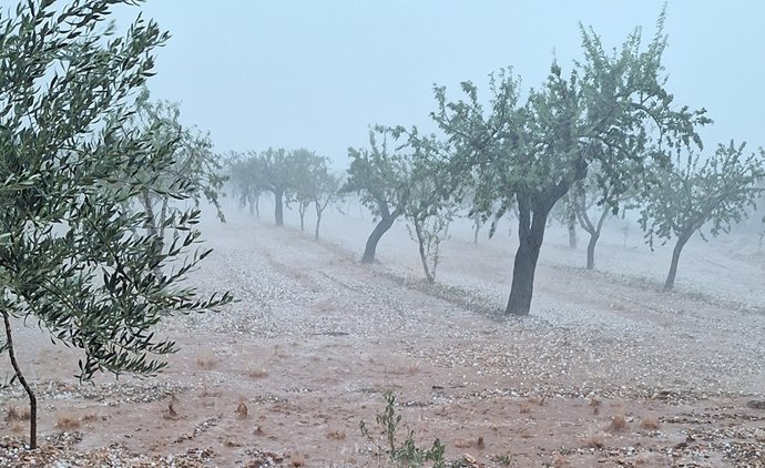 DANA en un campo