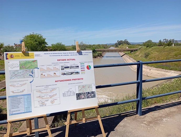 Imagen del tramo de origen del Canal del Bajo Guadalquivir situado entre los municipios de Palma del Río (Córdoba) y Lora del Río y Carmona (Sevilla).