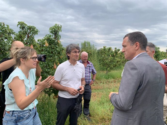 El conseller de Agricultura, Òscar Ordeig, analiza con Afrucat los daños causados por el granizo en Lleida