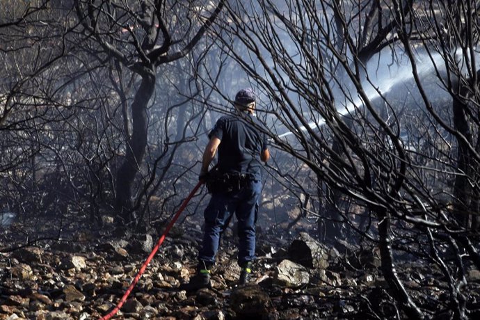 Bomberos participan en las tareas de extinción de un incendio en Kalivia 