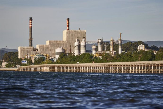 Archivo - Imagen de la planta de ENCE en Pontevedra.