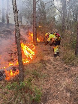 Incendio forestal en Artana