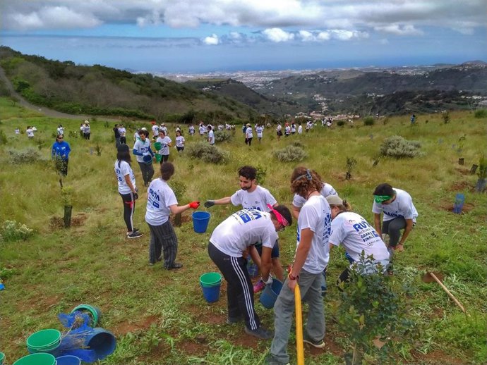 Archivo - Voluntariado participantes en la reforestación