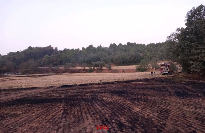 Terreno quemado tras un incendio en zonas agrícolas y forestales en Baldomar (Lleida), a 11 de agosto de 2024