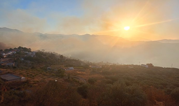 Imagen de una zona a la que ha llegado el fuego.