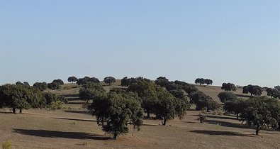 Andalucía