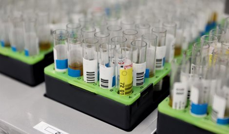 Investigación
