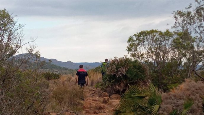 Dispositivo de búsqueda del toro desaparecido en Almenara (Castellón)