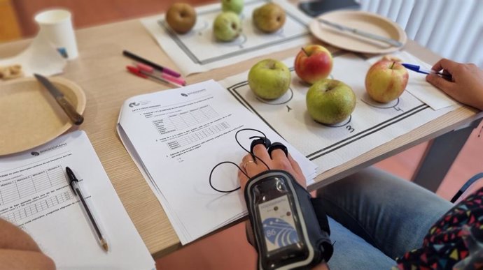 Archivo - Aplicación de técnicas de neuromarketing para mejorar la calidad de los productos con Denominación de Origen (DO) presentes en Castilla y León.