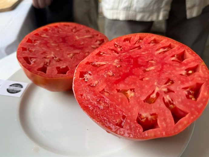 Tomate huevo de toro.