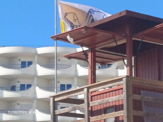 Bandera de alerta de medusas en la playa de la Victoria de Cádiz. ARCHIVO.