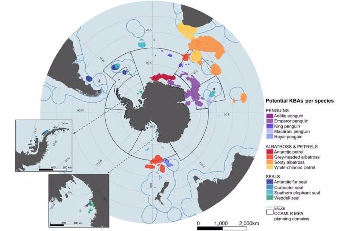 Sitios potenciales de áreas clave para la biodiversidad (ACB) que representan áreas de alto uso para especies de aves marinas y pinnípedos