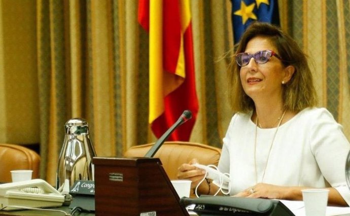 La diputada nacional del PP Isabel Borrego