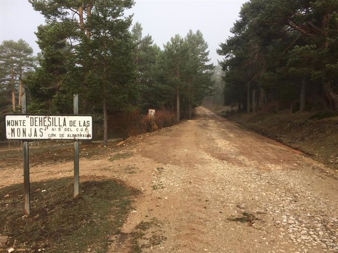 Albarracín y Cuenca seguirán litigando por el monte Entredicho tras la decisión que da la razón al municipio turolense