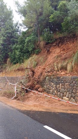 Desprendimiento de tierra y árbol caído a consecuencia de la tormenta en Sóller.