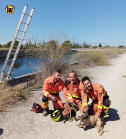 Rescatado un perro atrapado en el barranco de Carraixet