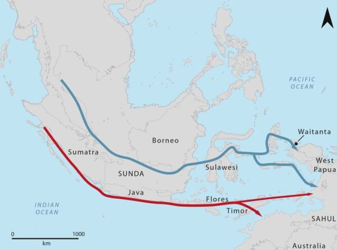 Latam.-Ciencia.-Los primeros navegantes del Pacífico arribaron a Papúa hace 50.000 años