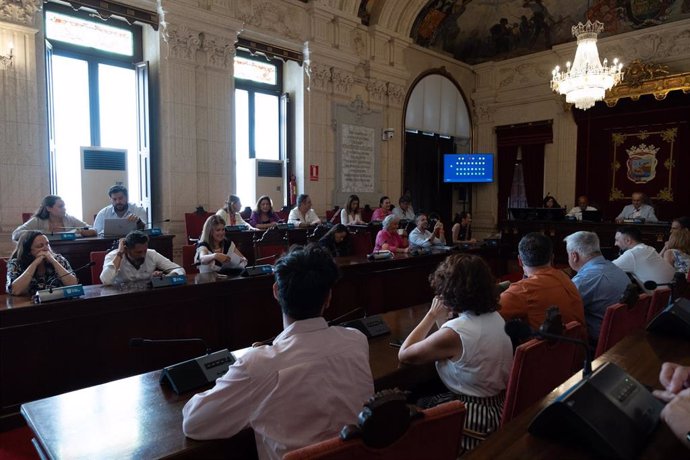 Pleno del Ayuntamiento de Málaga