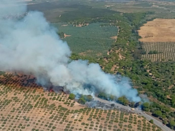 Incendio declarado en Almonte.