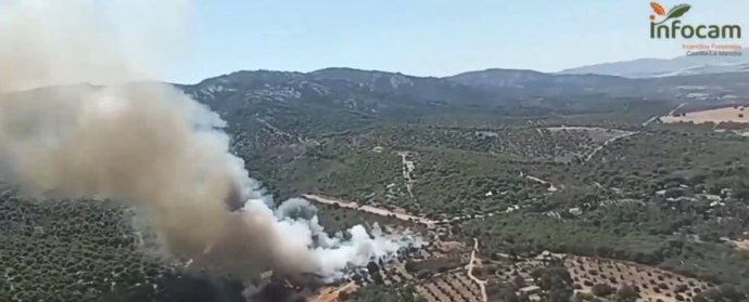 Incendio en Viso del Marqués