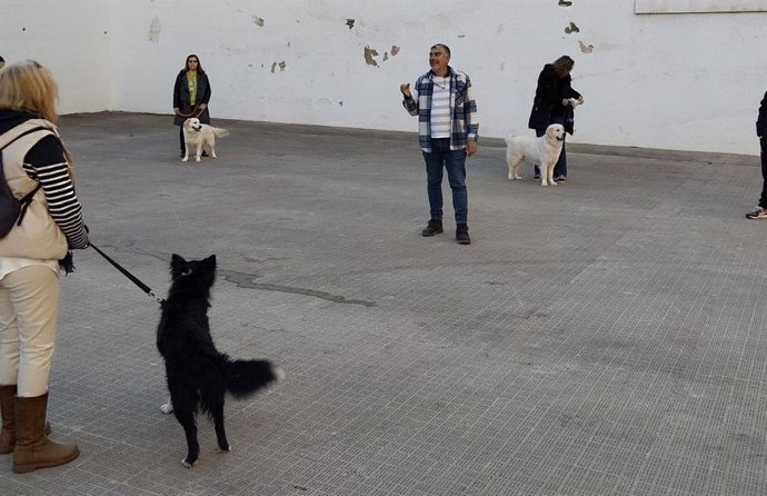 Imagen del curso de adiestramiento de perros del pasado año.