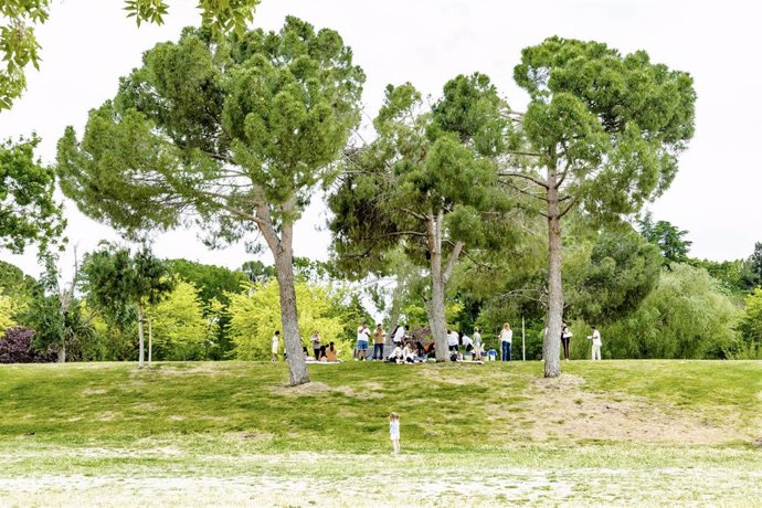 Archivo - Varias personas en el Parque Juan Carlos I, a 29 de abril de 2023, en Madrid (España). La Agencia Estatal de Meteorología (Aemet) ha anunciado para hoy, 29 de abril, temperaturas en descenso notable en gran parte de la región, rondando por la no