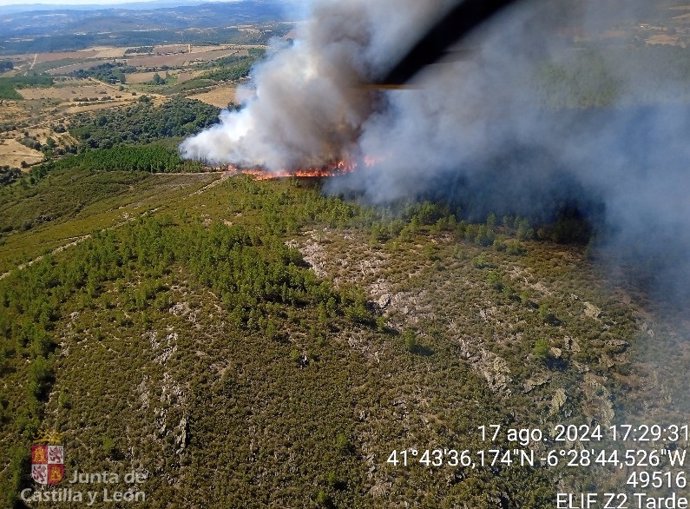 Declarado el nivel 1 de peligrosidad en un incendio forestal en Trabazos (Zamora).