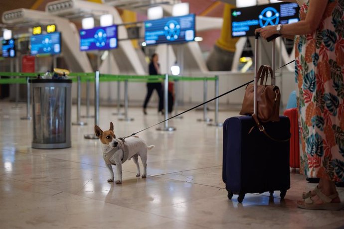 Archivo - Una persona lleva un perro en el Aeropuerto Adolfo Suárez Madrid-Barajas. 