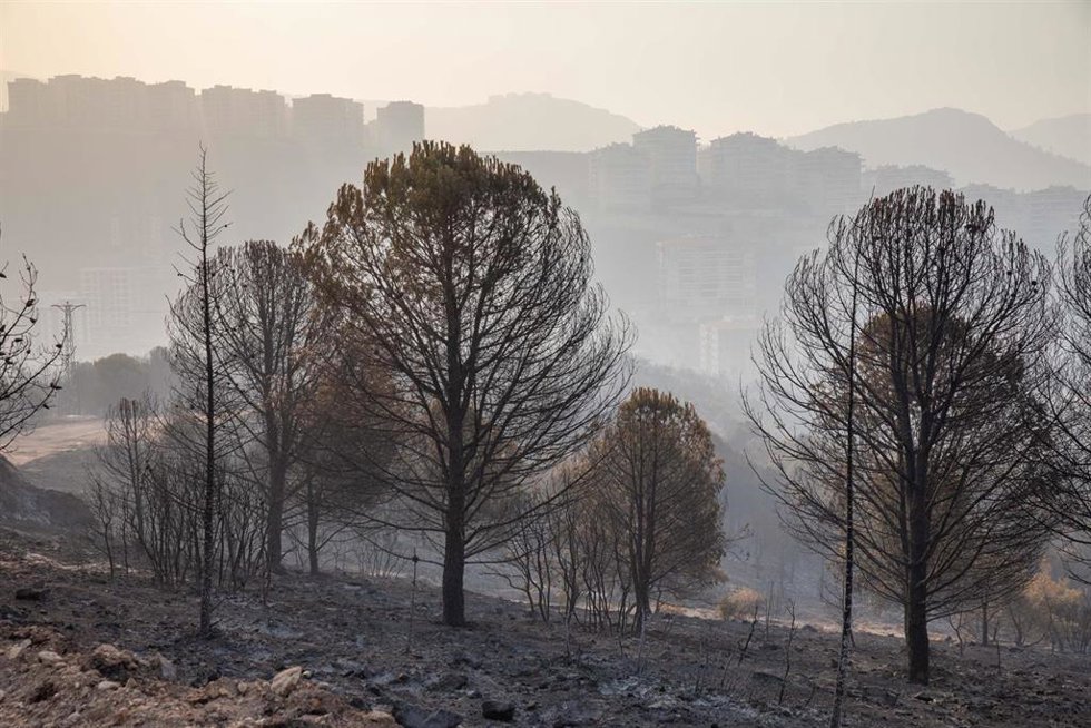 17 August 2024, Turkey, Izmir: A general view of Bayrakli and Karsiyaka districts after the fire, as extinguishing and cooling efforts continue on the second day of the Great Izmir Fire. The forest fire that started on Yamanlar Mountain in the Karsiyaka