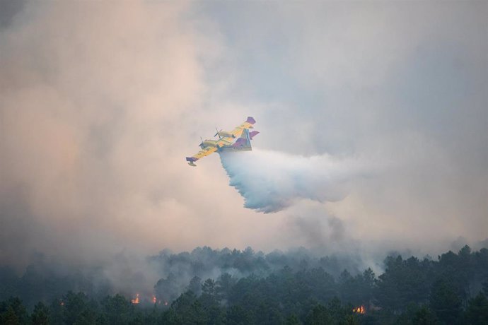 Varios efectivos aéreos actúan durante un incendio forestal, a 17 de agosto de 2024, en Trabazos, Zamora, Castilla y León (España). 