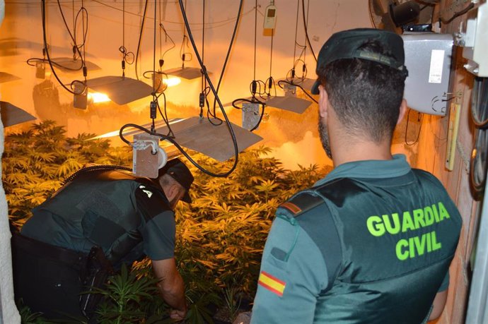 Agentes de la Guardia Civil en el interior del inmueble que albergaba en Peñarroya-Pueblonuevo más de 400 plantas de marihuana.