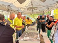 El Ayuntamiento de Andújar (Jaén) pide "tranquilidad" ante el incendio forestal y no acceder a la zona de las viñas