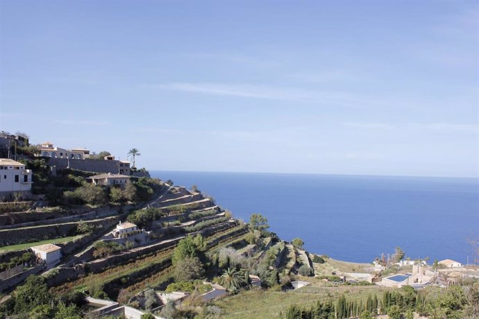 Archivo - Vista de terrazas con cultivos en Banyalbufar (Mallorca), en la Serra de Tramuntana.