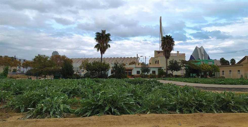 Valncia controla con fibra óptica y sensores el riego de acequias de la huerta gracias al Proyecto Horta-Tec