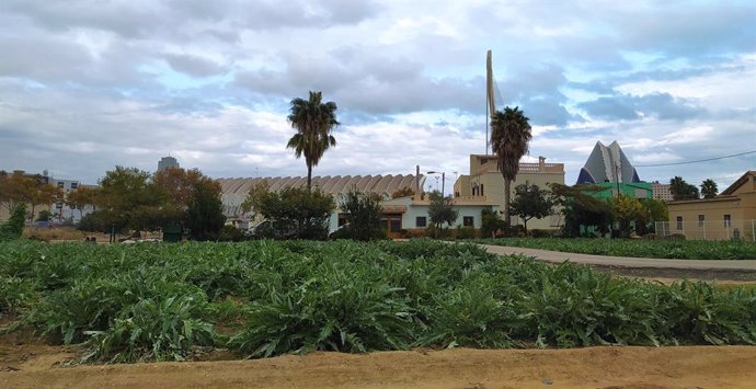 València controla con fibra óptica y sensores el riego de acequias de la huerta gracias al Proyecto Horta-Tec