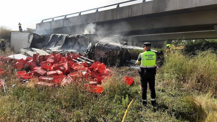 Accidente camión en la A-12 (Azofra)