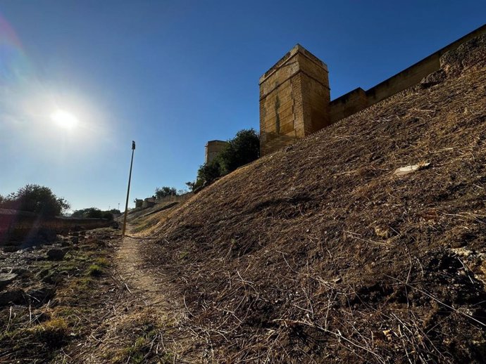 El Ayuntamiento de Alcalá de Guadaíra (Sevilla) interviene en las laderas del Castillo mediante su limpieza y desbroce.