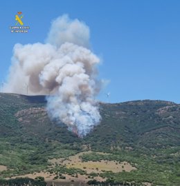 Incendio forestal de Tarifa