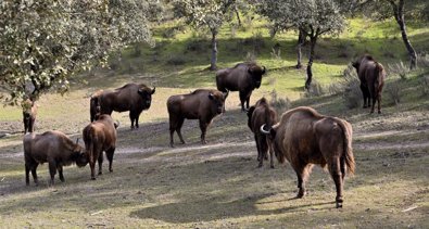 Andalucía