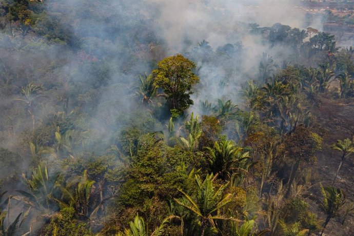 Archivo - Incendio en Porto Velho (Brasil), a 7 de septiembre de 2021. 