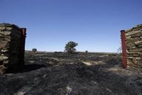 Detenido un peregrino como presunto autor del incendio forestal de Castrillo de los Polvazares (León)